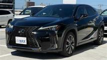 2018 Lexus UX