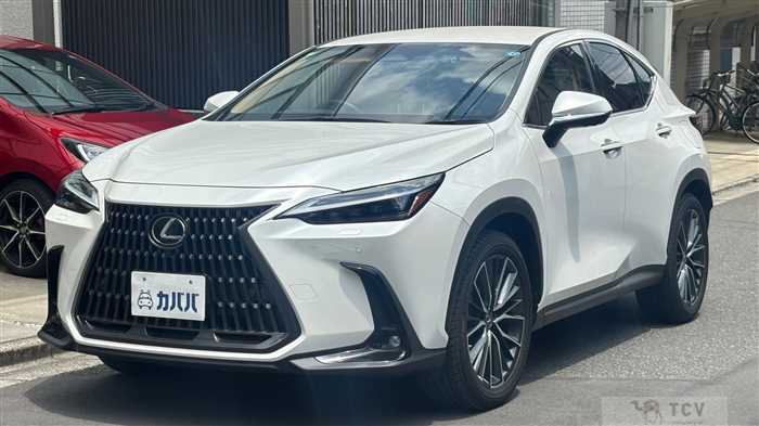2023 Lexus NX