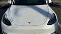 2024 Tesla Motors Others