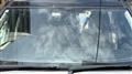 2008 Land Rover Discovery 3