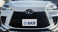 2025 Lexus RX