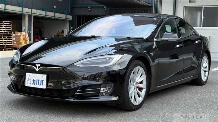 2019 Tesla Motors Others