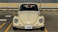 1974 Volkswagen Volkswagen Others