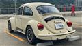 1974 Volkswagen Volkswagen Others