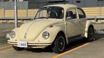 1974 Volkswagen Volkswagen Others