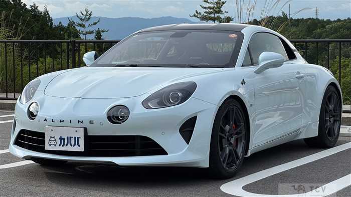 2020 Renault Renault Others