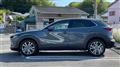 2021 Mazda Eunos Others
