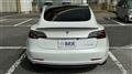 2019 Tesla Motors Others