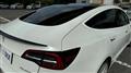 2019 Tesla Motors Others