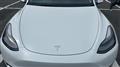 2024 Tesla Motors Others