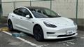 2022 Tesla Motors Others