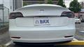 2022 Tesla Motors Others