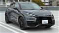 2025 Lexus Other