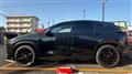 2025 Lexus NX