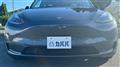 2022 Tesla Motors Others
