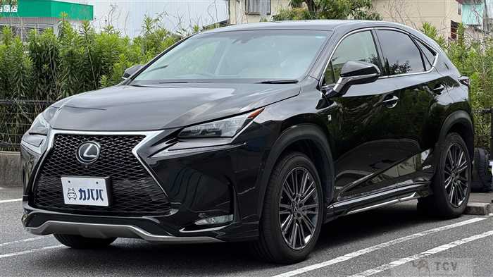 2014 Lexus NX
