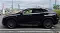 2014 Lexus NX