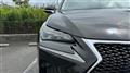 2014 Lexus NX