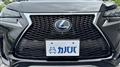 2014 Lexus NX