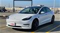 2020 Tesla Motors Others