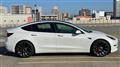 2020 Tesla Motors Others