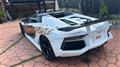 2017 Lorenz&lancle Lorenz&lancle Others
