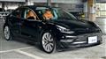 2019 Tesla Motors Others