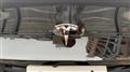2023 Tesla Motors Others