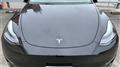 2023 Tesla Motors Others