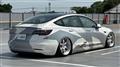 2021 Tesla Motors Others