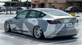 2021 Tesla Motors Others