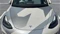 2021 Tesla Motors Others