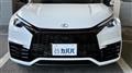 2025 Lexus Other