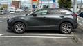 2019 Mazda Eunos Others