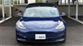 2019 Tesla Motors Others