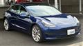2019 Tesla Motors Others