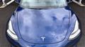 2019 Tesla Motors Others