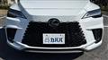 2025 Lexus RX