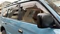 2002 Toyota Land Cruiser Prado