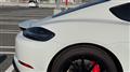 2021 Porsche Porsche Others