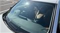 2016 BMW 4 Series