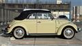 2017 Volkswagen Volkswagen Others