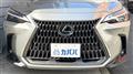 2022 Lexus NX