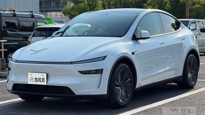 2025 Tesla Motors Others