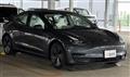 2021 Tesla Motors Others