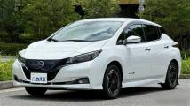 2022 Nissan Leaf