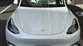 2022 Tesla Motors Others