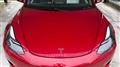 2021 Tesla Motors Others