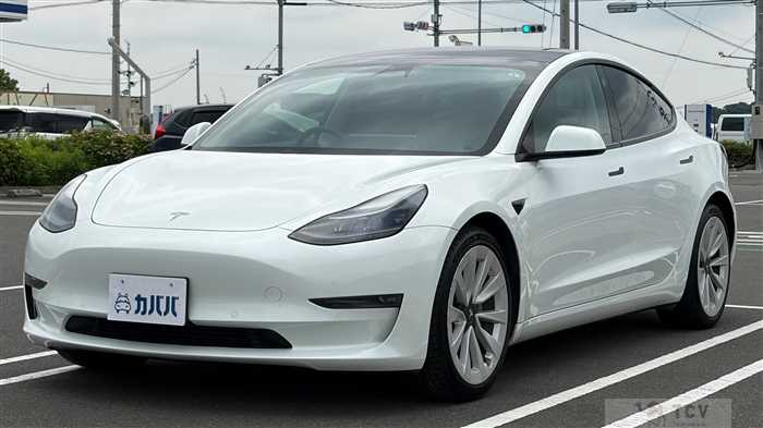2021 Tesla Motors Others