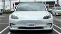 2021 Tesla Motors Others